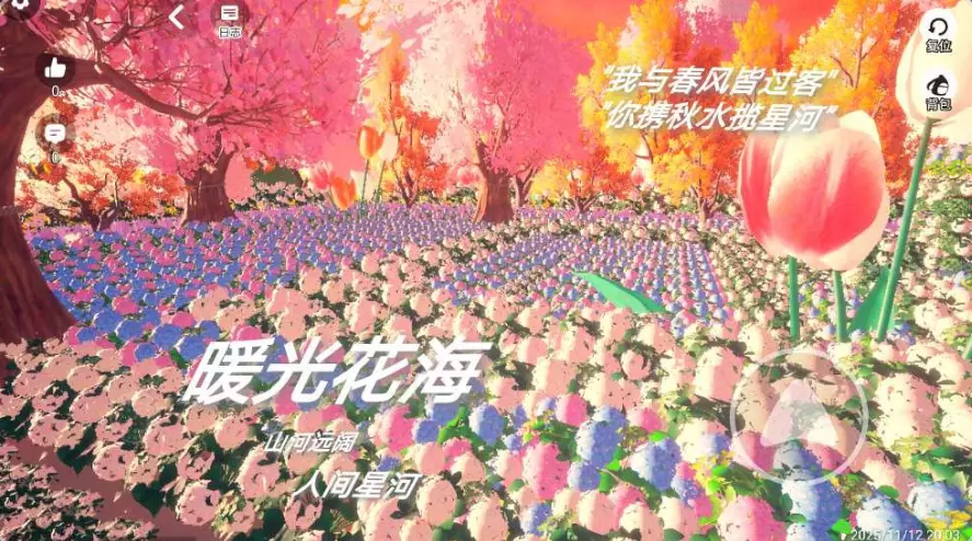 暖光花海