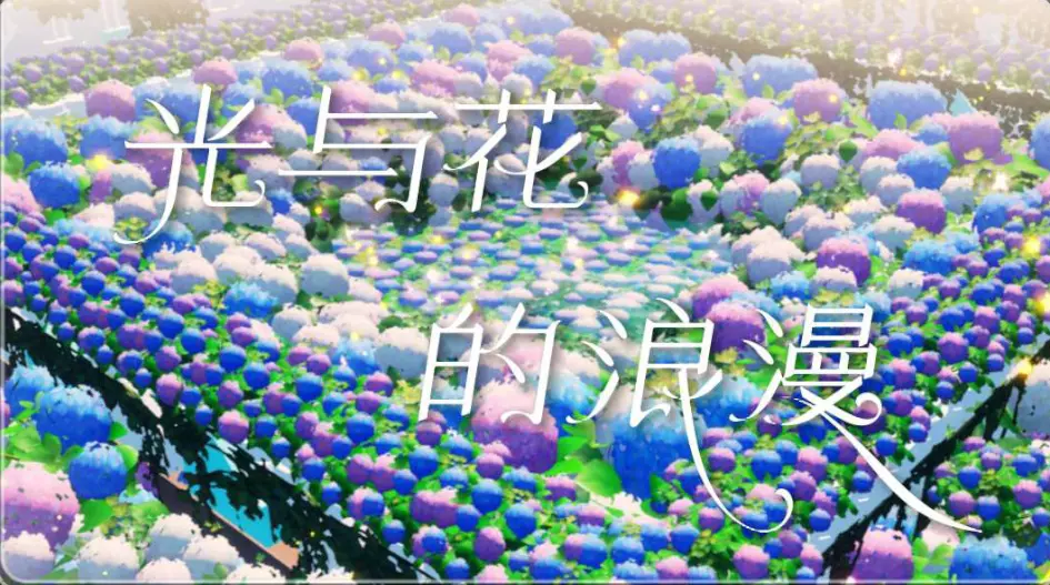 光与花的浪漫