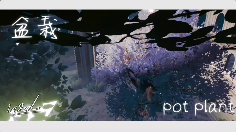 Pot plant ^盆栽
