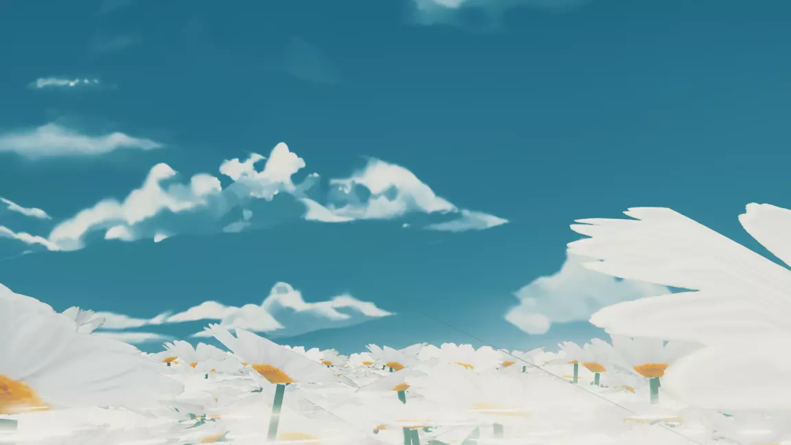菊花之海