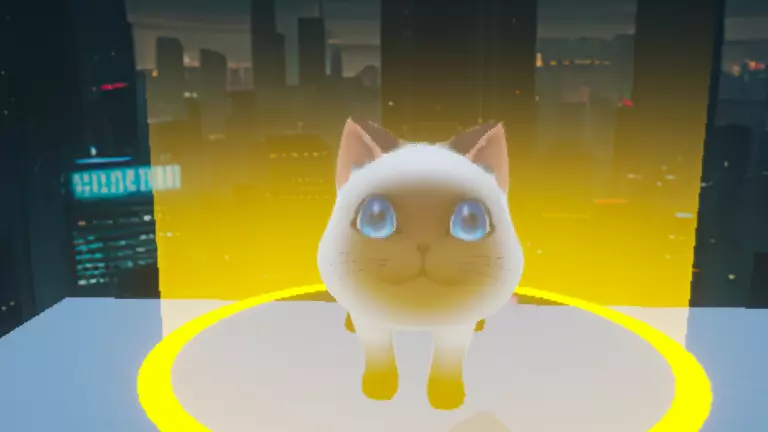 小猫咪视角体验跑酷