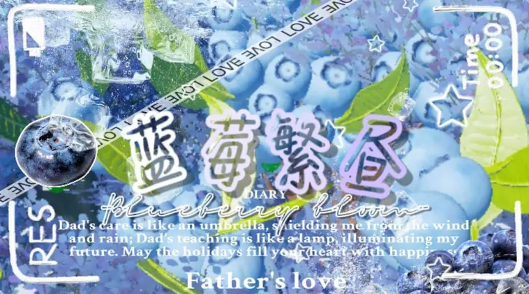 《蓝莓繁昼》