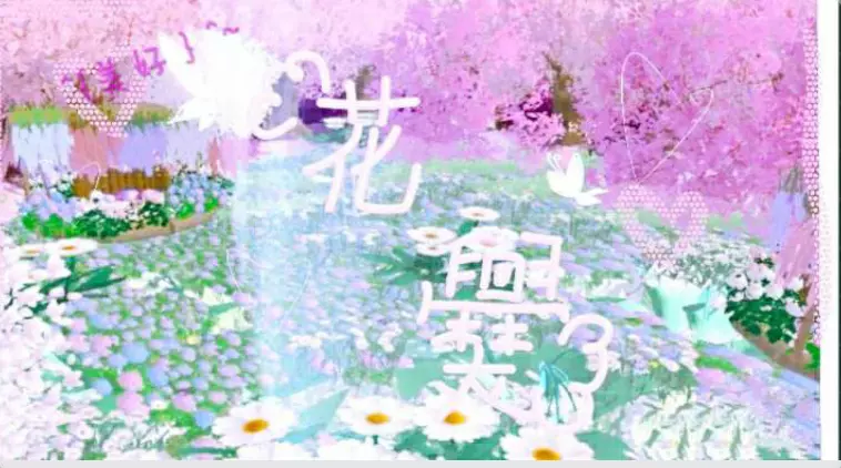 花爨∥